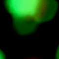 Bokeh-360